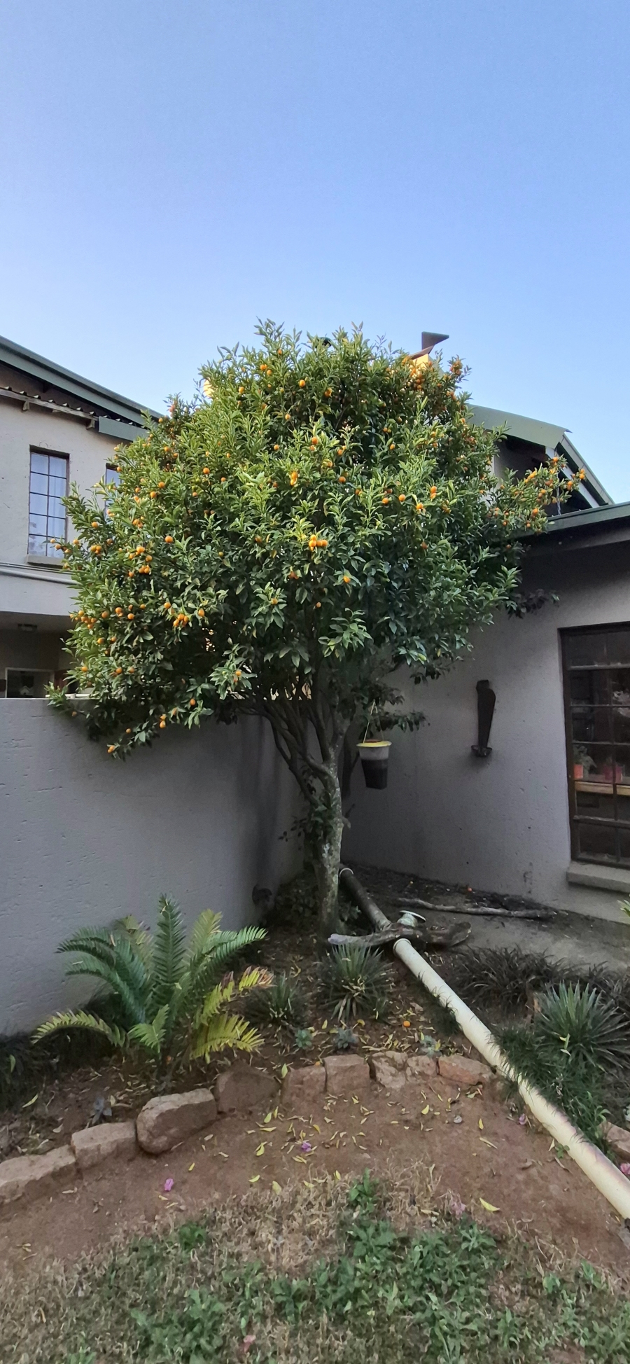 9 Bedroom Property for Sale in Rietfontein AH North West